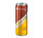 Organics by Red Bull Ginger Ale 250ml