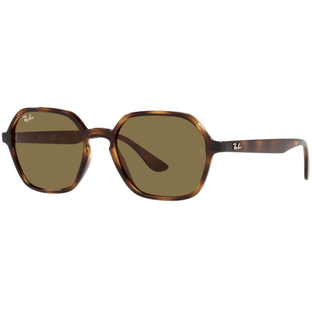 Ray Ban 0RB4361710/7352