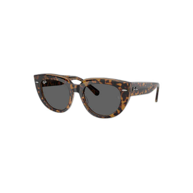 Ray Ban RB2286 1292B