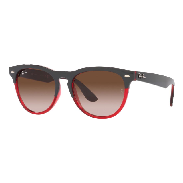 Ray Ban 0RB447166311354