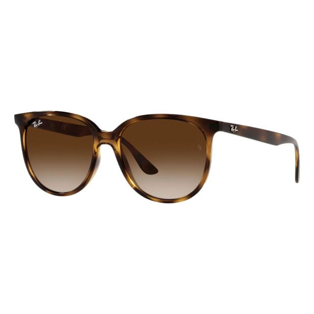 Ray Ban 0RB4378710/1354