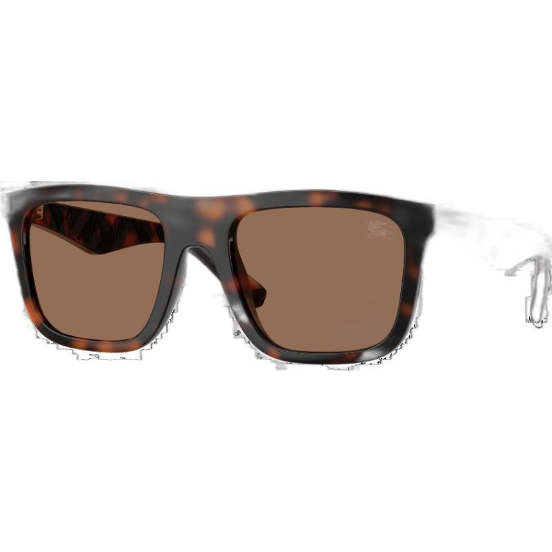 Burberry BE4458U 300273 55 Sonnenbrille