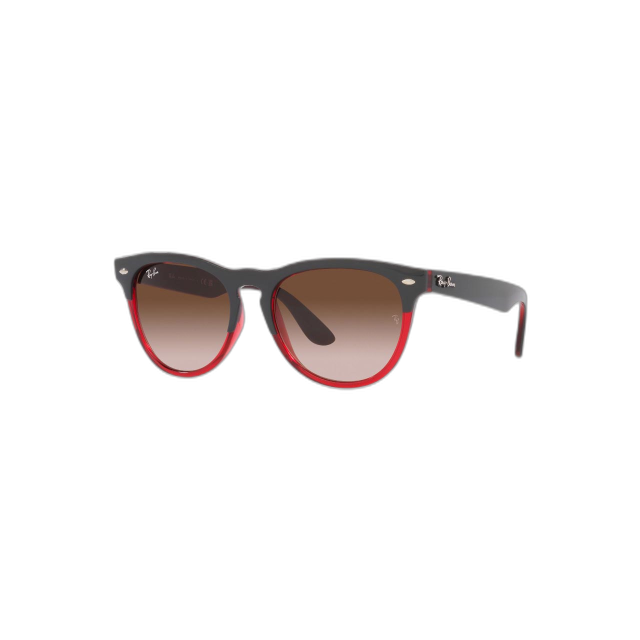 Ray Ban 0RB447166311354