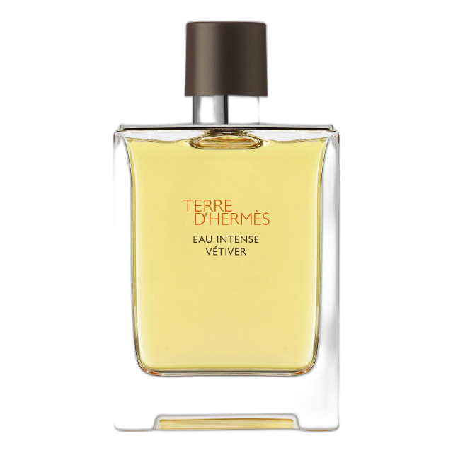 Hermès Terre d'Hermès Intense Eau de Parfum 100ml